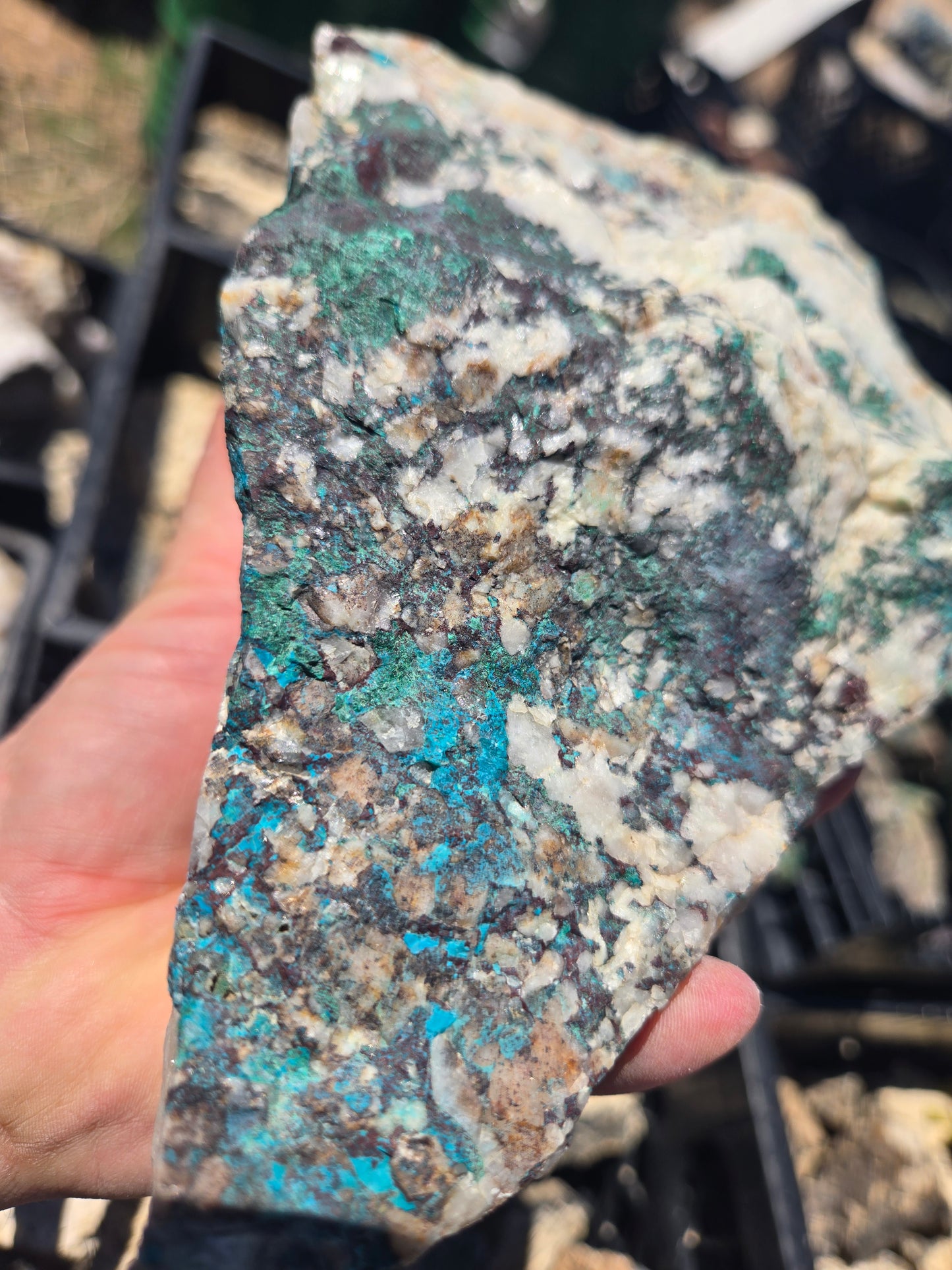 Chrysocolla: W/ Quartz