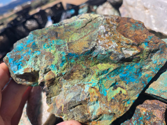 Chrysocolla w/ Magnetite and Medmontite