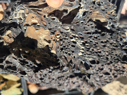 Bubble Basalt: Volcano Stone