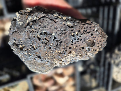 Bubble Basalt: Volcano Stone