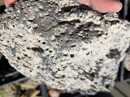 Bubble Basalt: Volcano Stone