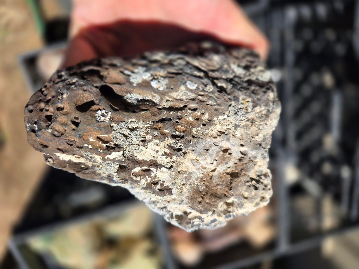 Bubble Basalt: Volcano Stone