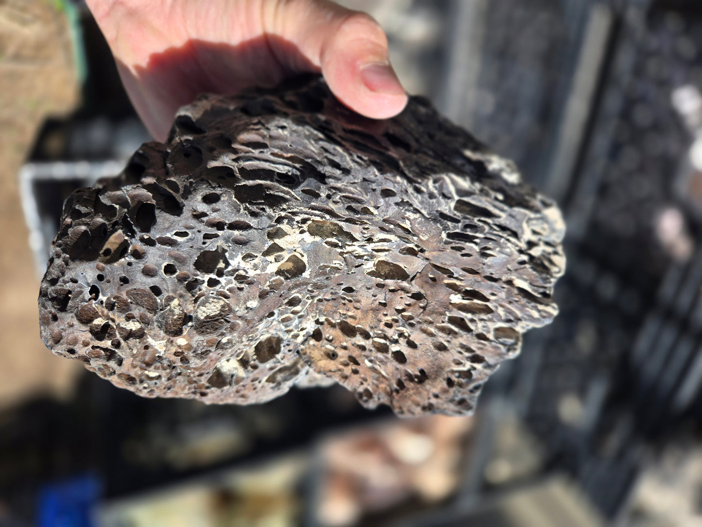 Bubble Basalt: Volcano Stone