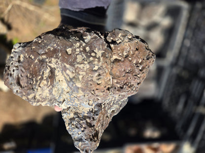 Bubble Basalt: Volcano Stone