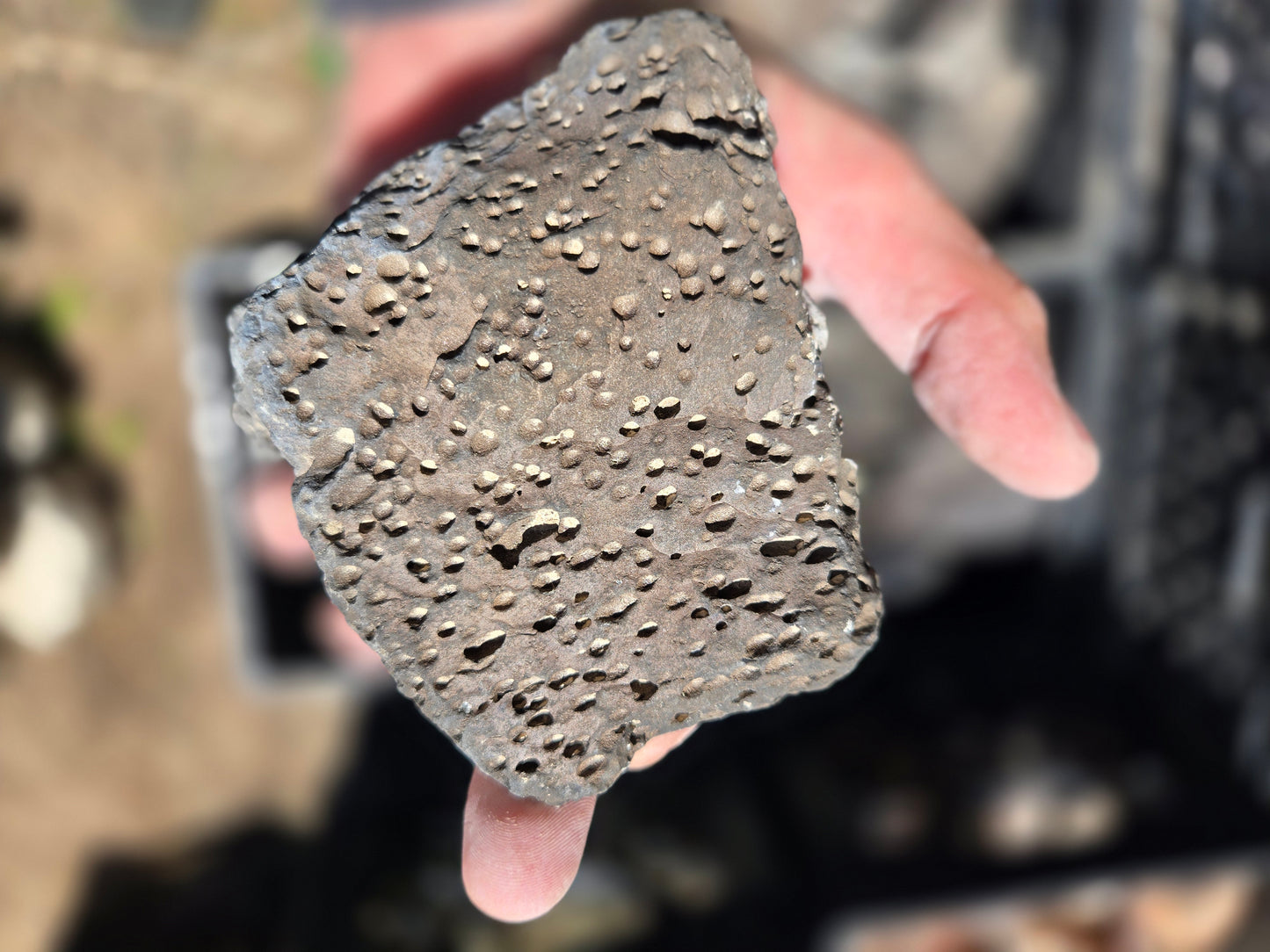 Bubble Basalt: Volcano Stone