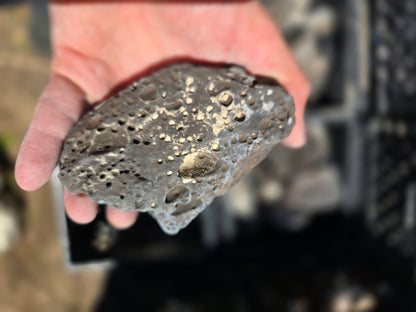 Bubble Basalt: Volcano Stone