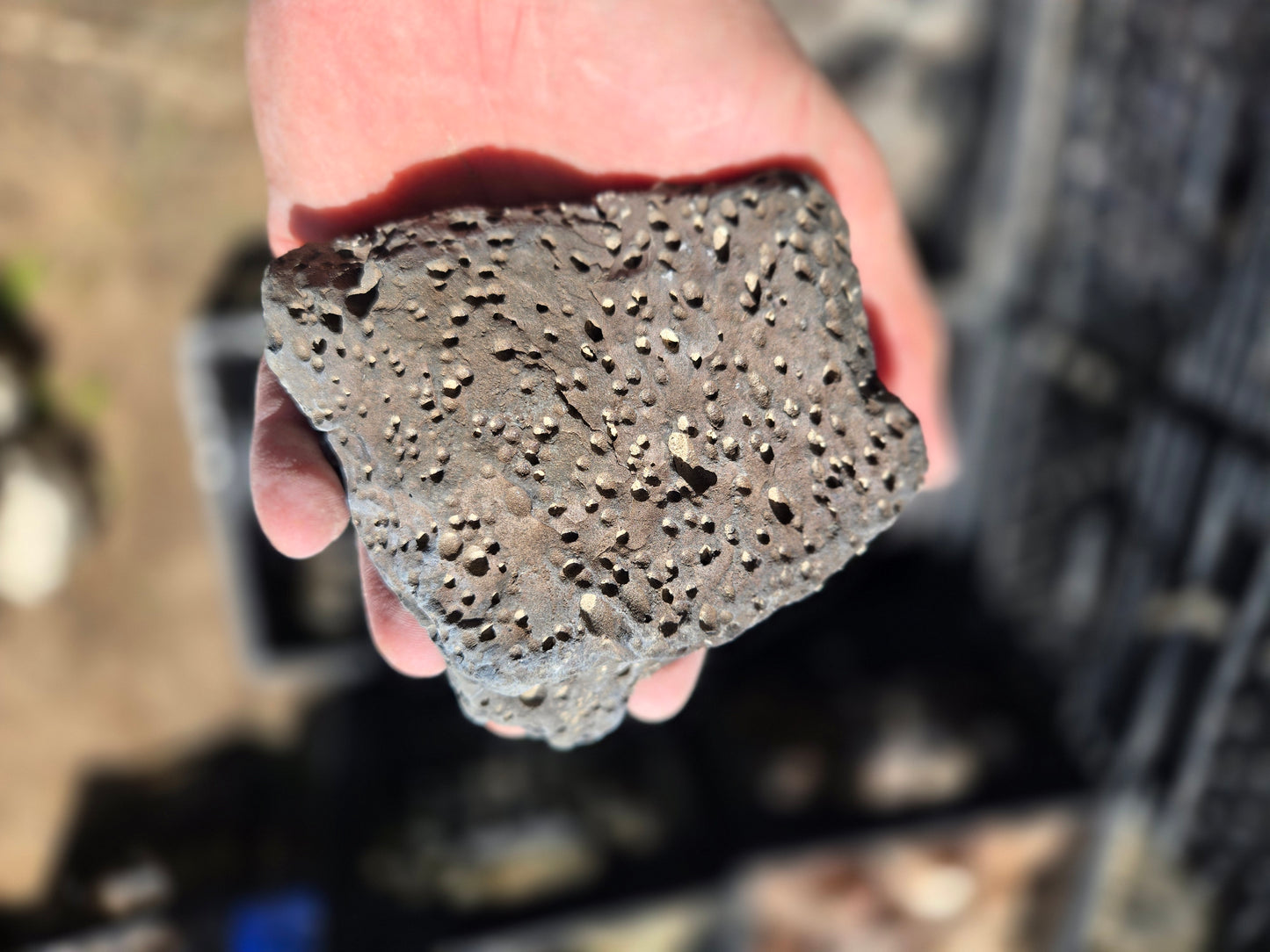 Bubble Basalt: Volcano Stone