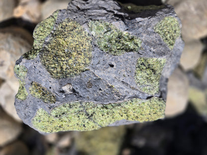Peridot in Basalt Matrix