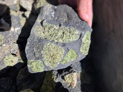 Peridot in Basalt Matrix