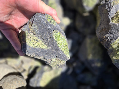 Peridot in Basalt Matrix