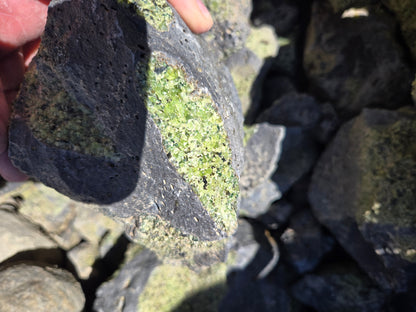 Peridot in Basalt Matrix