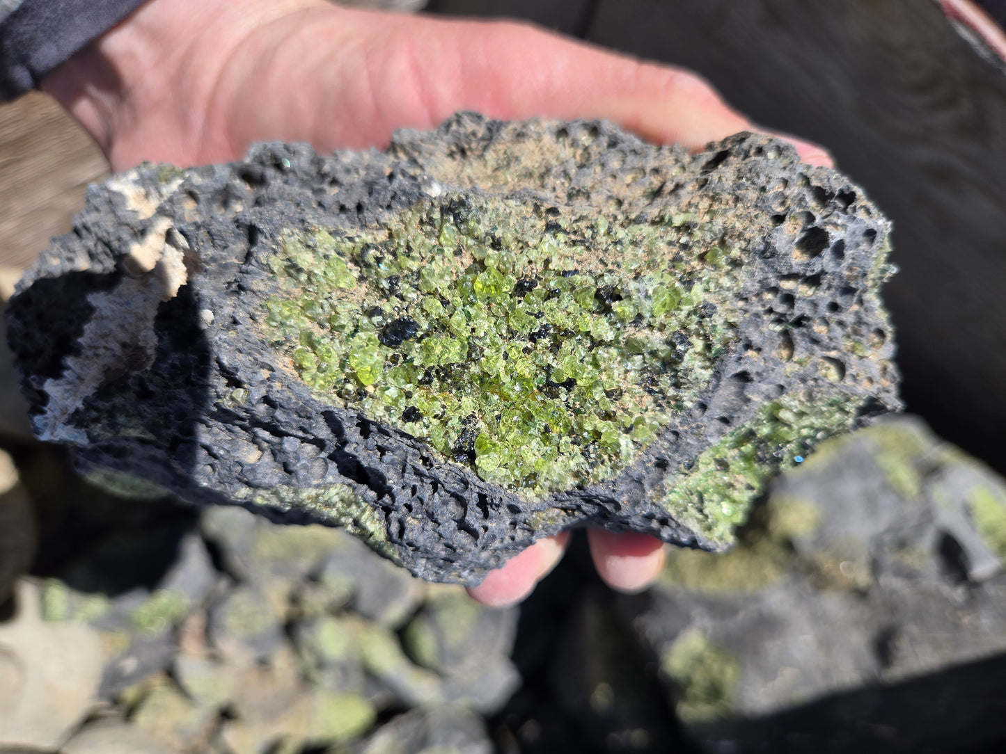 Peridot in Basalt Matrix