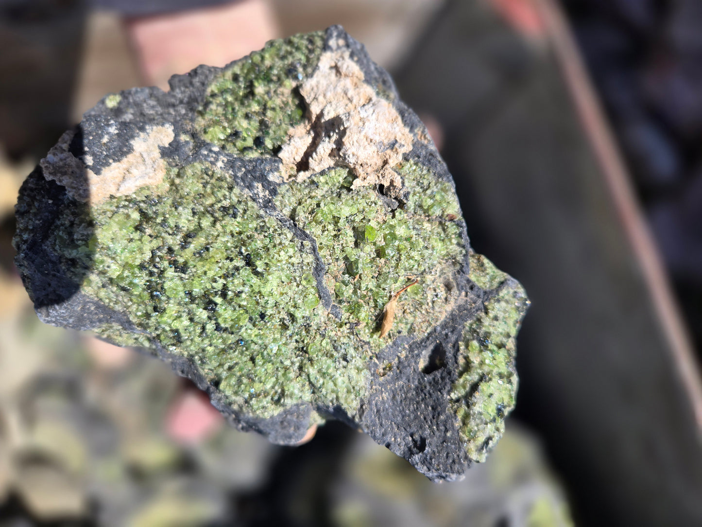 Peridot in Basalt Matrix