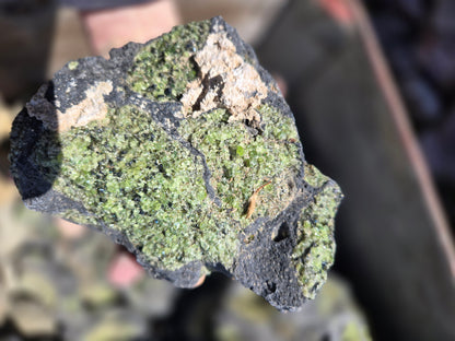 Peridot in Basalt Matrix
