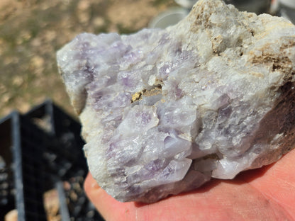 Amethyst Rough, Nevada
