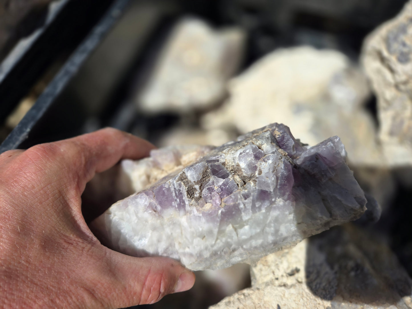 Amethyst Rough, Nevada