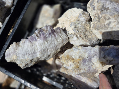 Amethyst Rough, Nevada