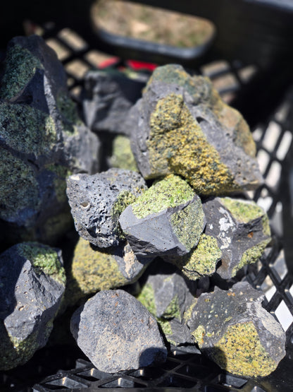 Peridot in Basalt Matrix