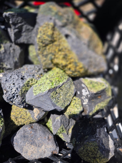 Peridot in Basalt Matrix