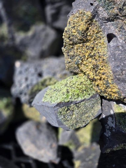 Peridot in Basalt Matrix