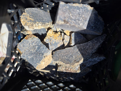 Turitella Agate