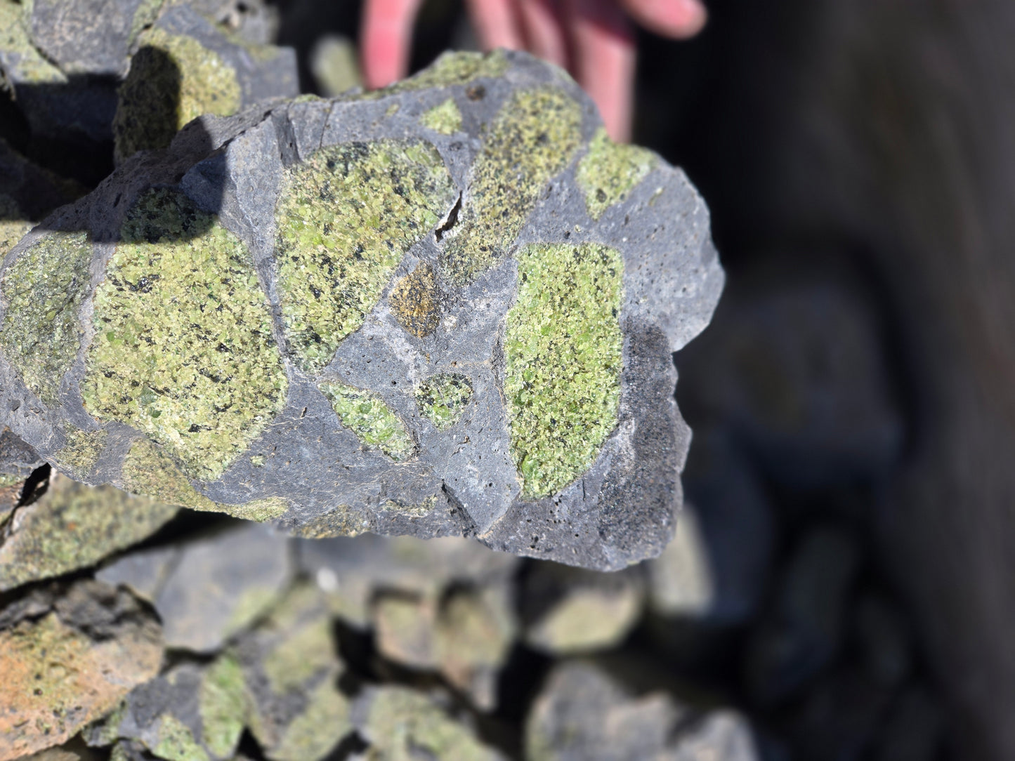 Peridot in Basalt Matrix
