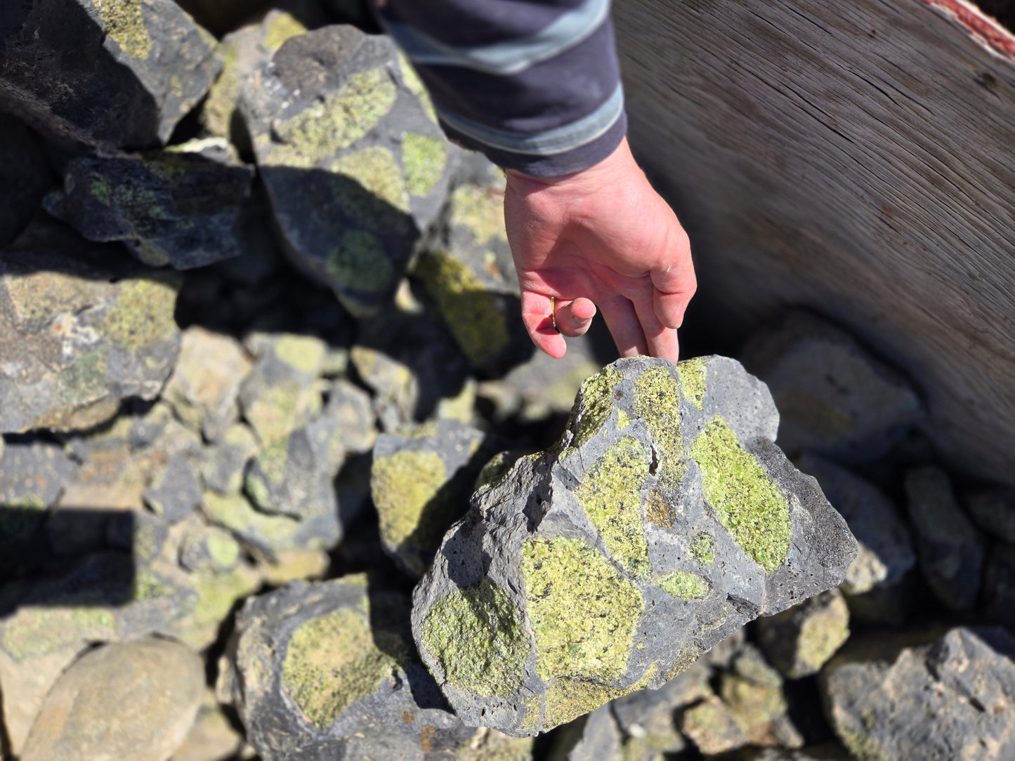 Peridot in Basalt Matrix