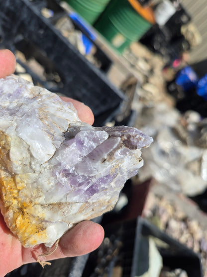 Amethyst Rough, Nevada