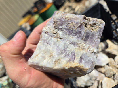 Amethyst Rough, Nevada