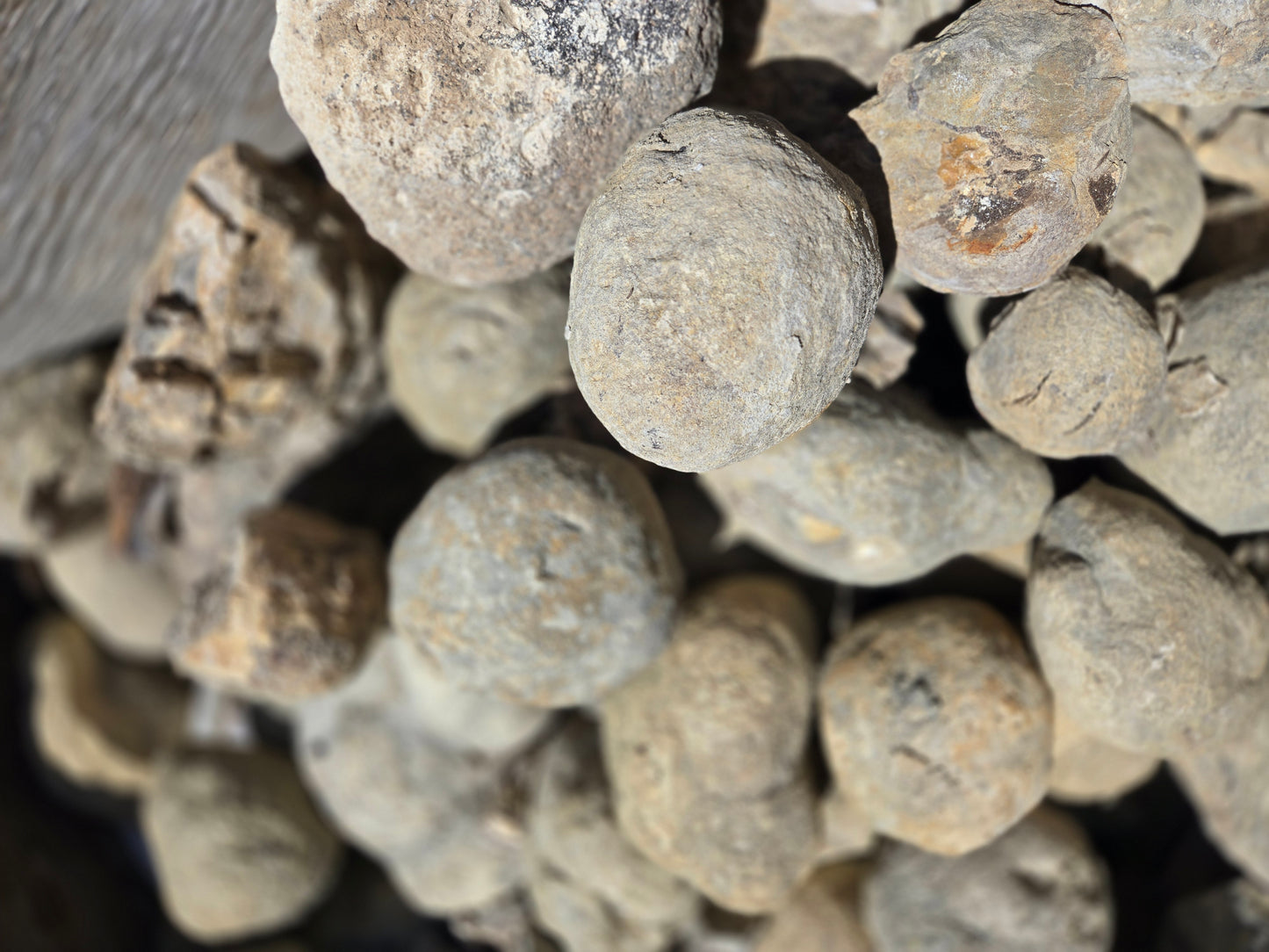 Septarian Nodules: Apatite, Aragonite, Calcite
