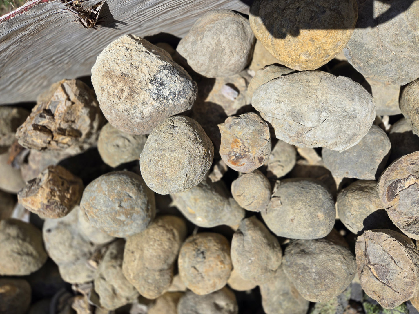 Septarian Nodules: Apatite, Aragonite, Calcite