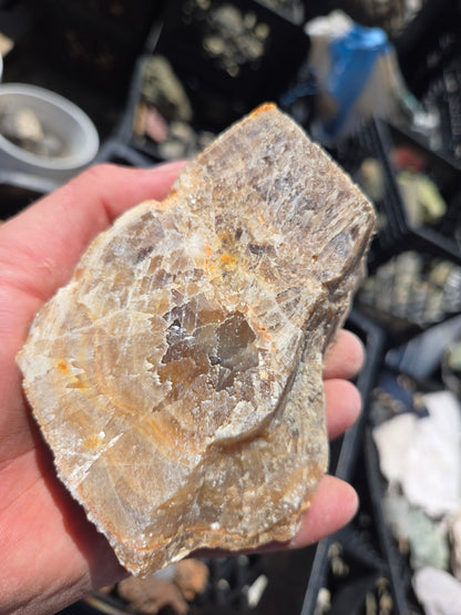 Root Beer Onyx w/ Aragonite