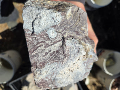 Wonderstone: Purple Banded