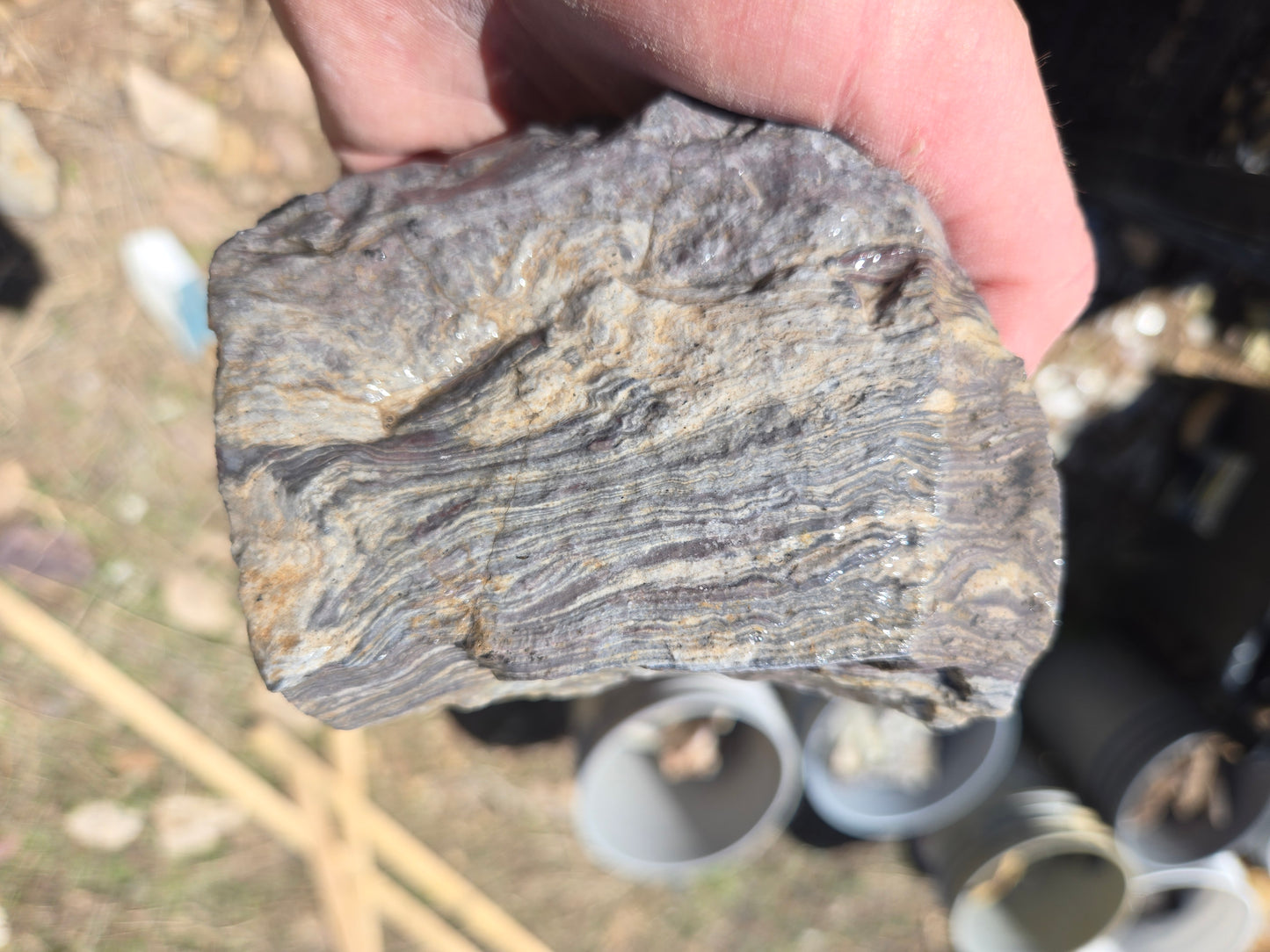 Wonderstone: Purple Banded