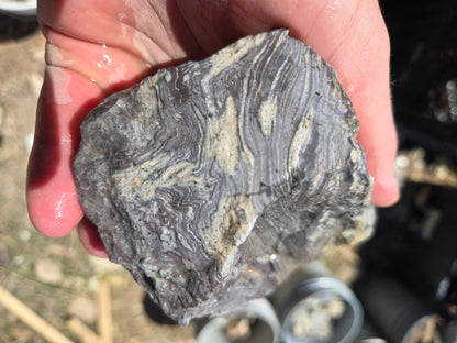 Wonderstone: Purple Banded