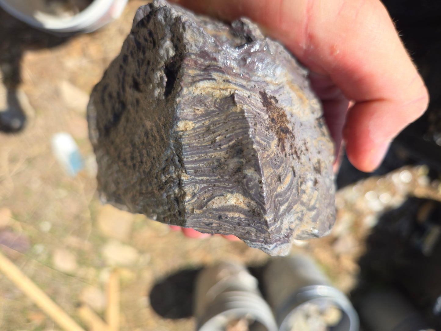 Wonderstone: Purple Banded