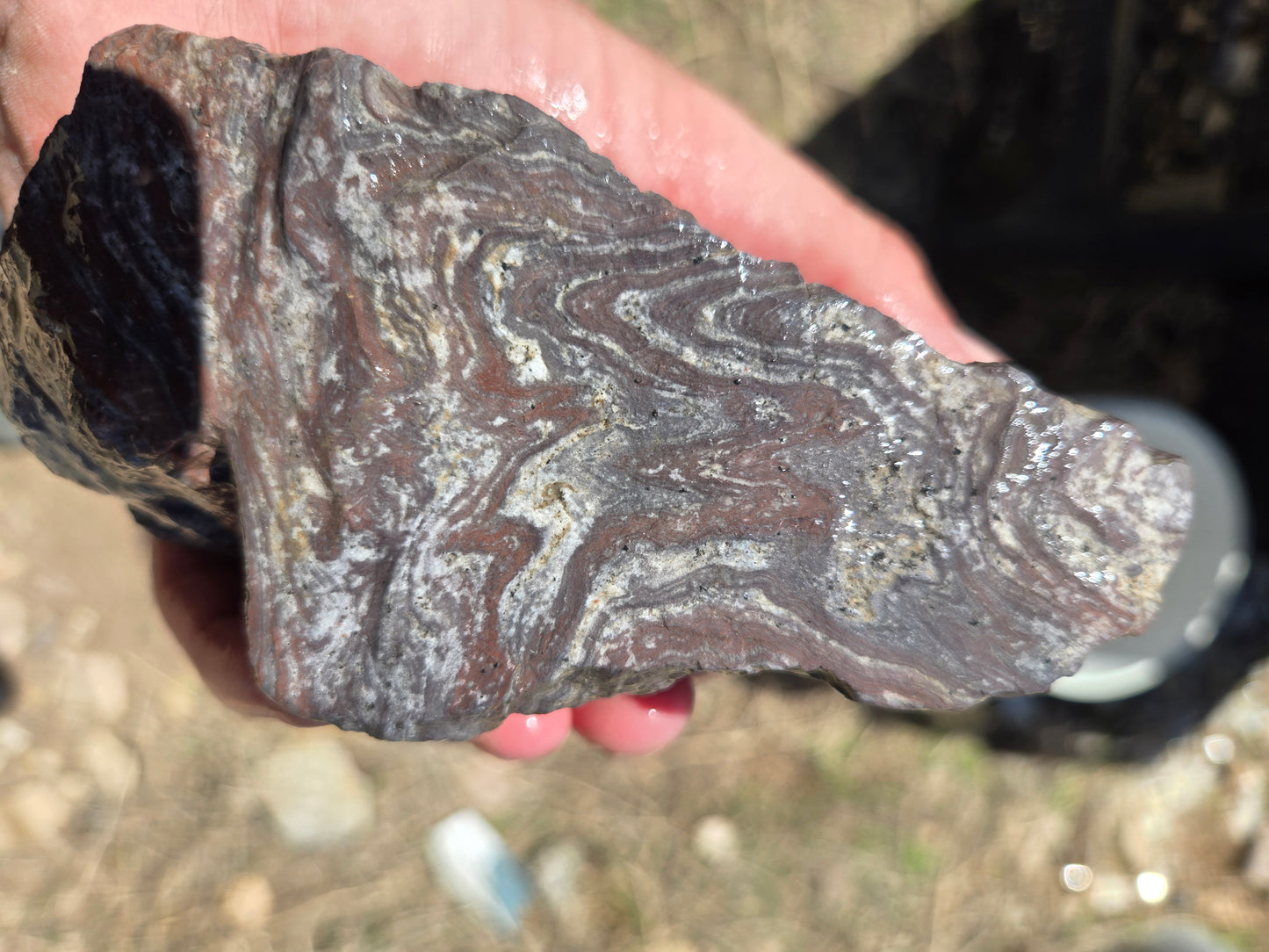 Wonderstone: Purple Banded