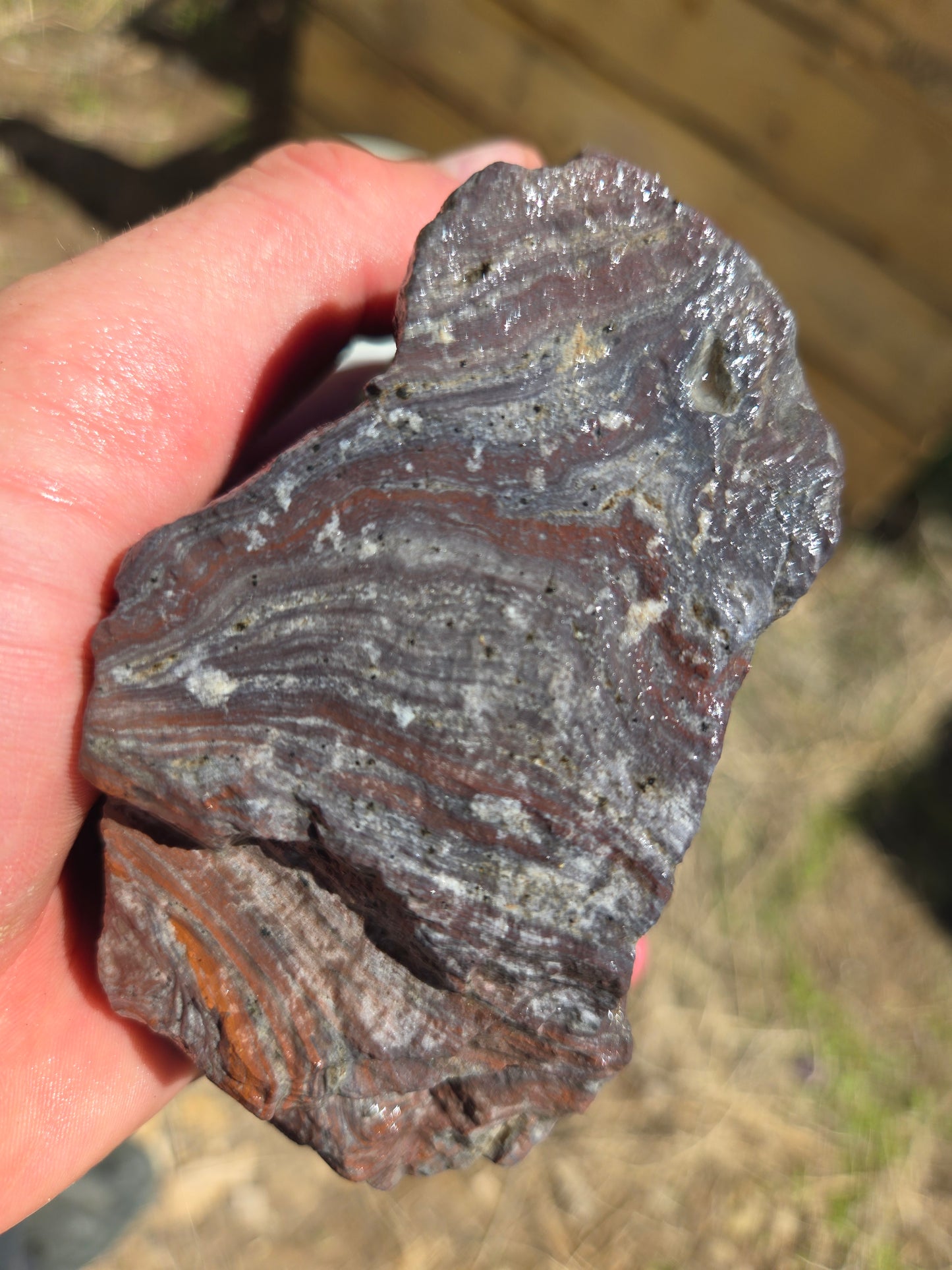Wonderstone: Purple Banded