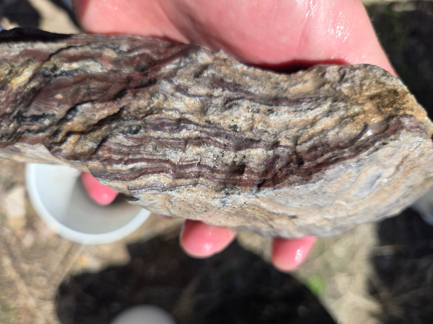 Wonderstone: Purple Banded