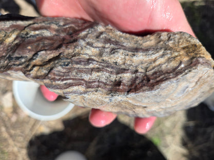 Wonderstone: Purple Banded