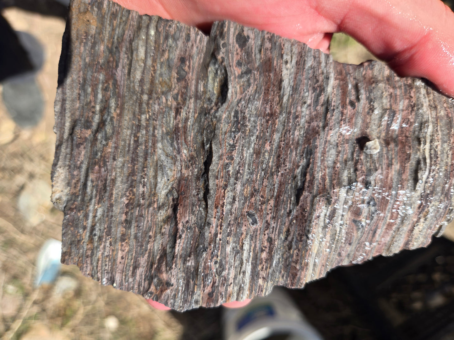 Wonderstone: Purple Banded