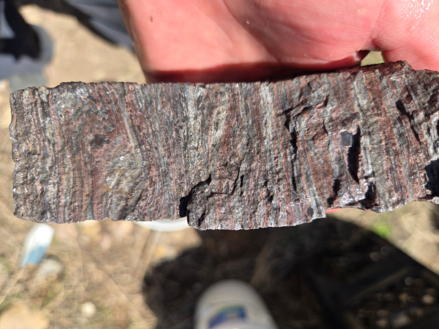 Wonderstone: Purple Banded