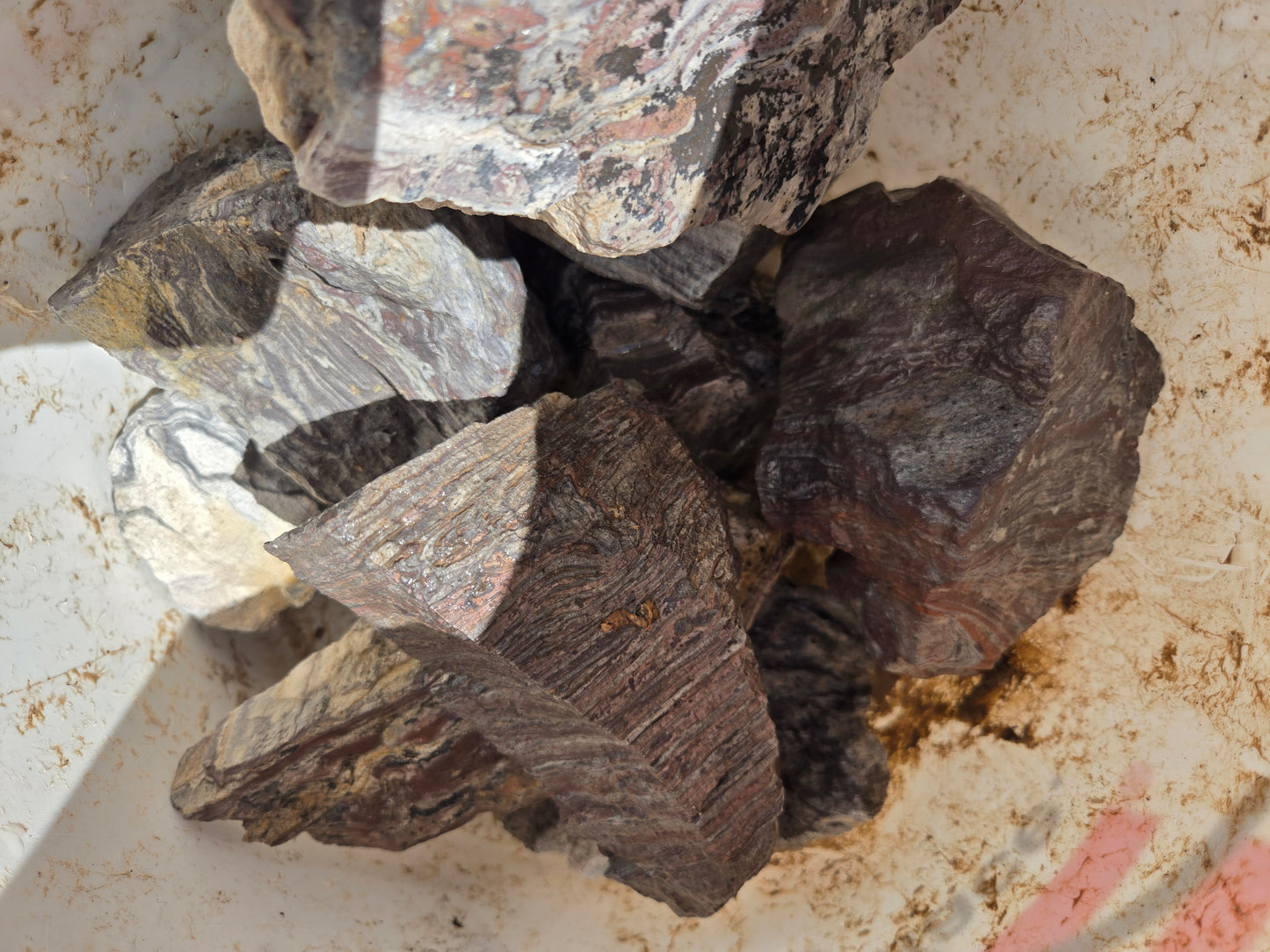 Wonderstone: Purple Banded