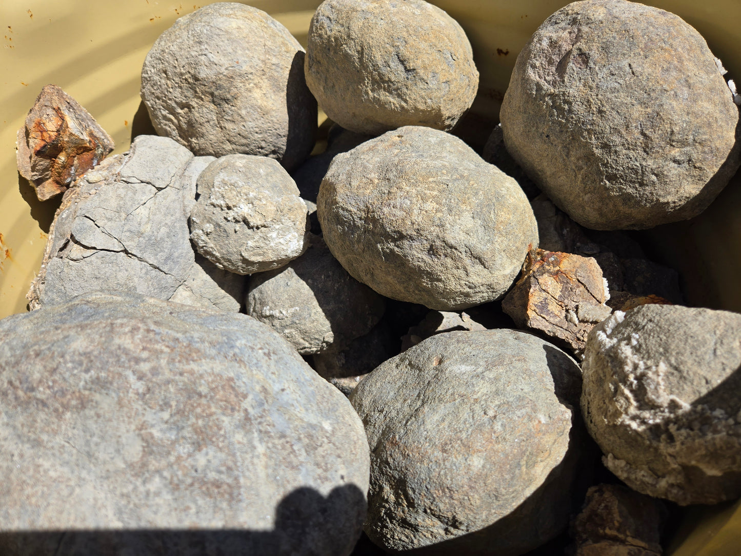 Septarian Nodules: Apatite, Aragonite, Calcite