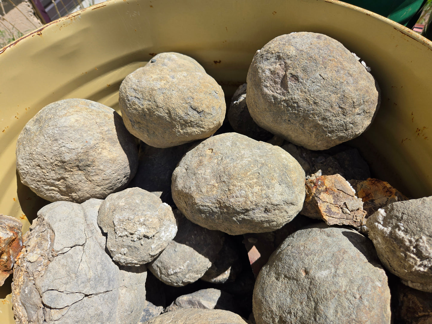 Septarian Nodules: Apatite, Aragonite, Calcite