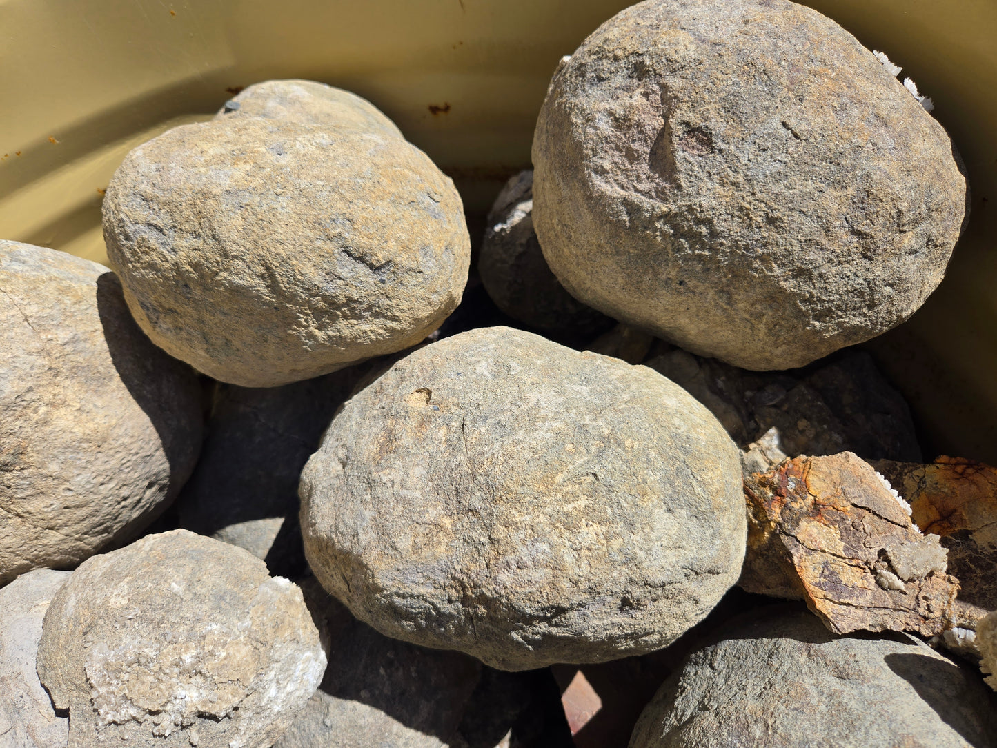 Septarian Nodules: Apatite, Aragonite, Calcite