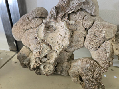 Geyserite