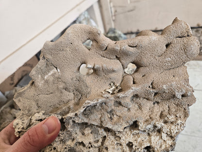 Geyserite