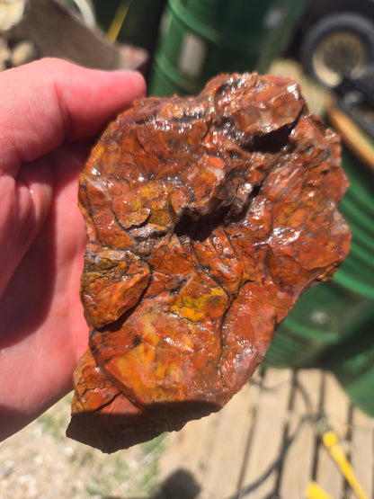 Jasper, Red: Paparika Red