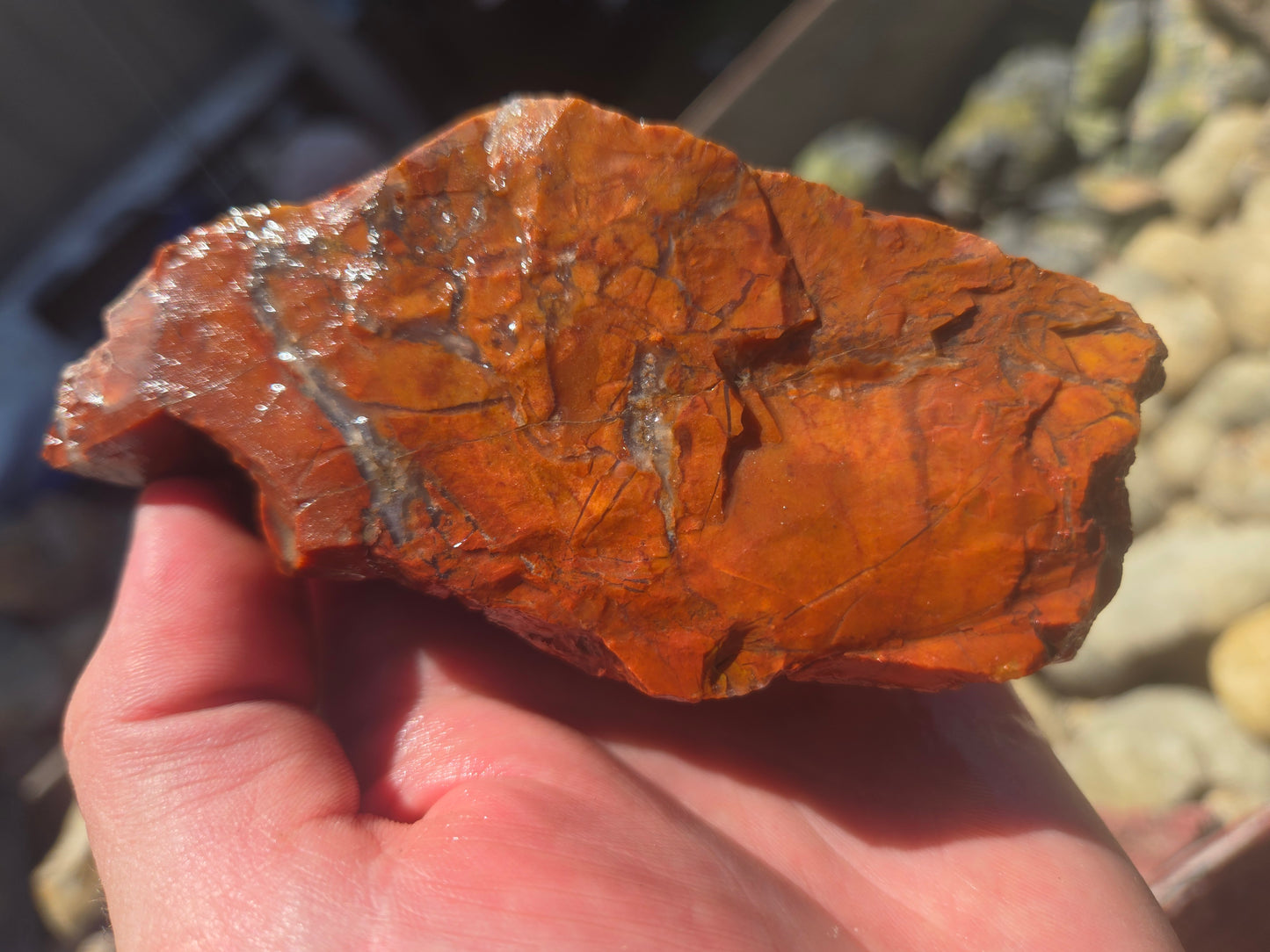 Jasper, Red: Paparika Red